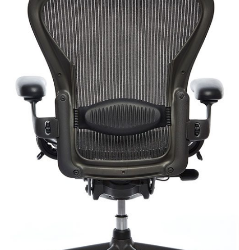 Adjustable Lumbar Support – Office Chair @ Work